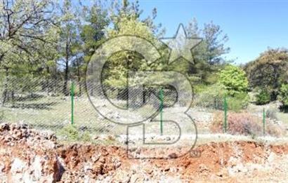 Muğla Kıran'da 1659m2 Satılık Tarla