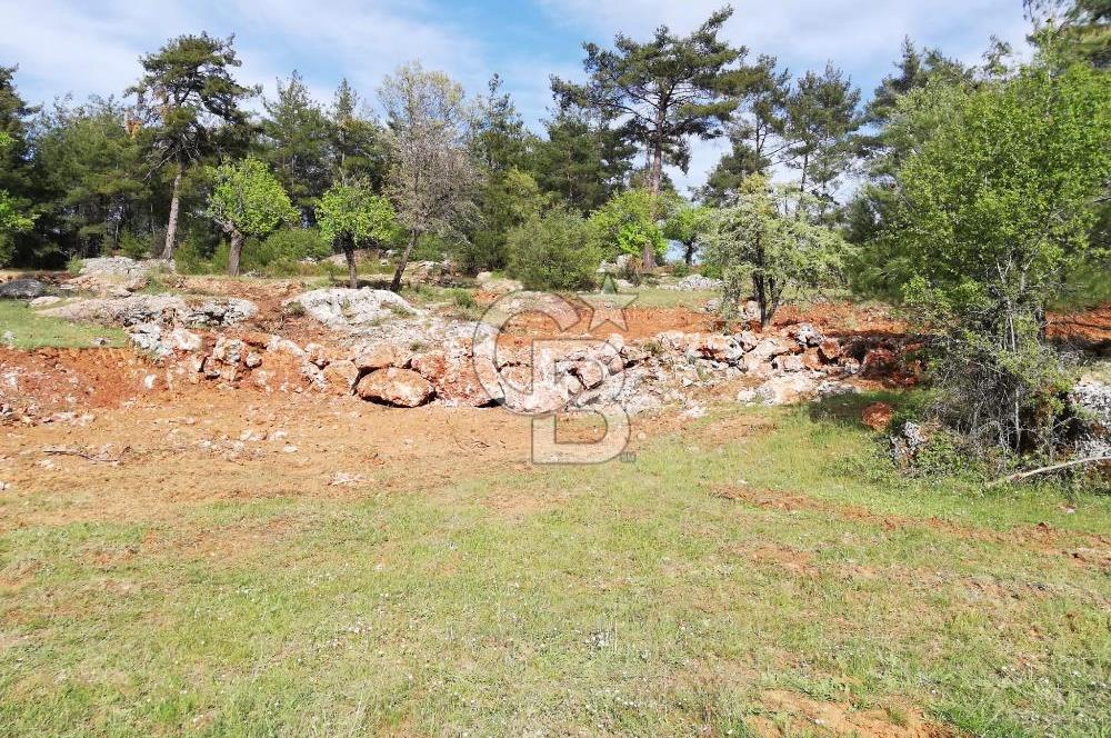 Muğla Kıran'da 1659m2 Satılık Tarla