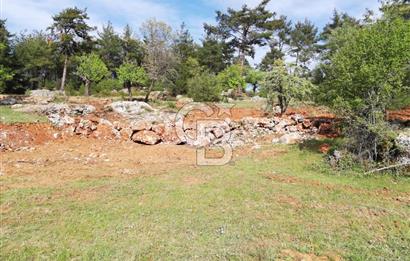 Muğla Kıran'da 1659m2 Satılık Tarla