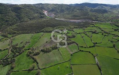 ÇANAKKALE YENİCE KAZDAĞLARINDA ANAYOLA/KÖYE YAKIN SATILIK ARAZİ