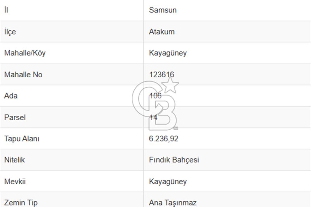 Atakum Kayagüney'de 12.457m2 Satılık Fındık Bahçesi