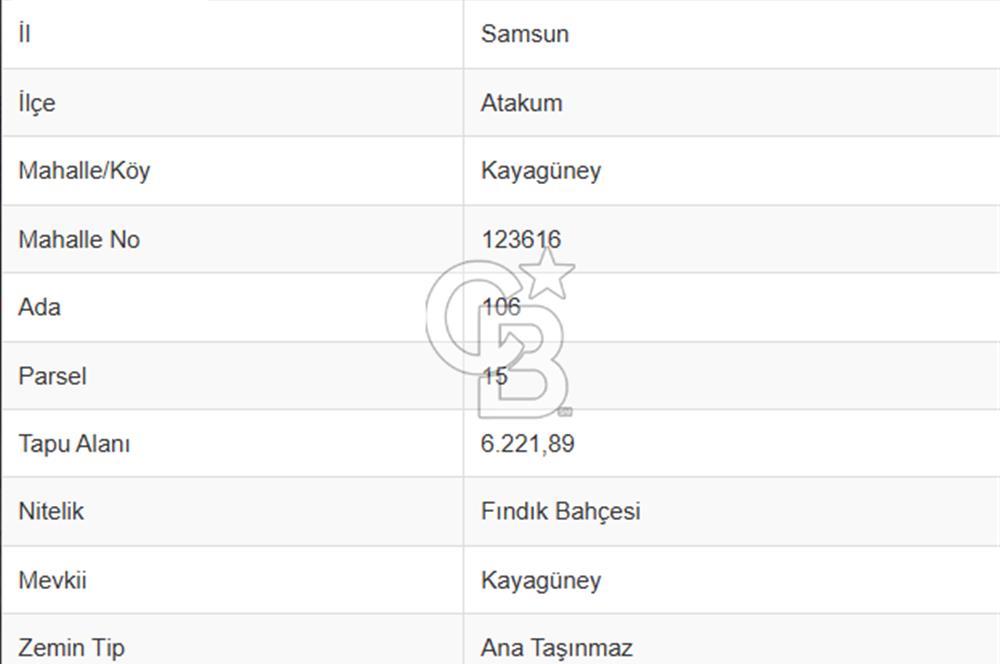 Atakum Kayagüney'de 12.457m2 Satılık Fındık Bahçesi