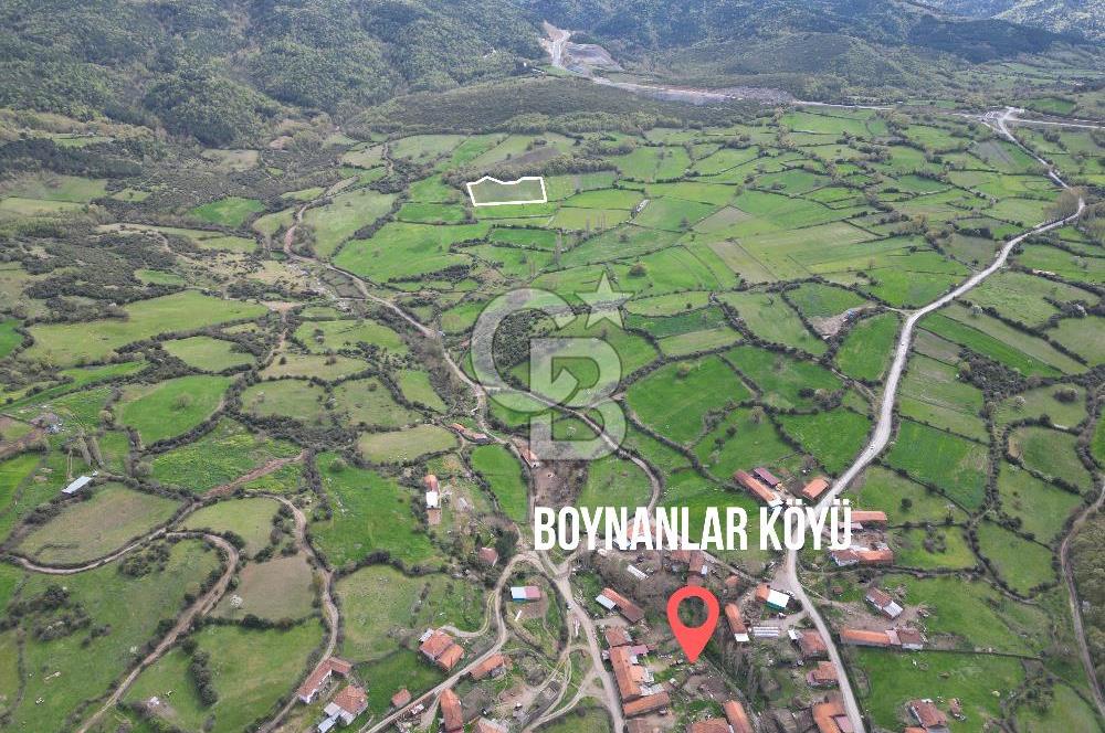 ÇANAKKALE YENİCE KAZDAĞLARINDA ANAYOLA/KÖYE YAKIN SATILIK ARAZİ