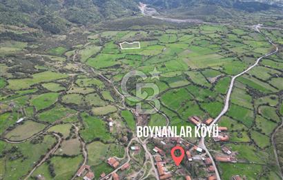 ÇANAKKALE YENİCE KAZDAĞLARINDA ANAYOLA/KÖYE YAKIN SATILIK ARAZİ