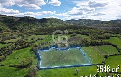 ÇANAKKALE YENİCE KAZDAĞLARINDA ANAYOLA/KÖYE YAKIN SATILIK ARAZİ