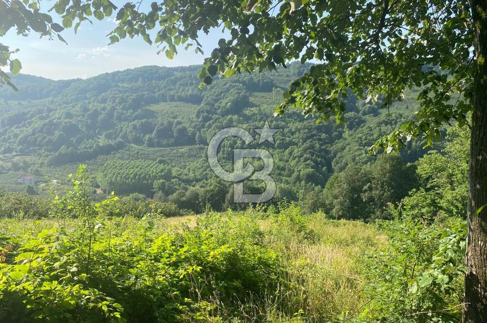 CB EVA dan Hendek Karadere Mah Aksu Yolu Mevkiinde Satılık Arazi