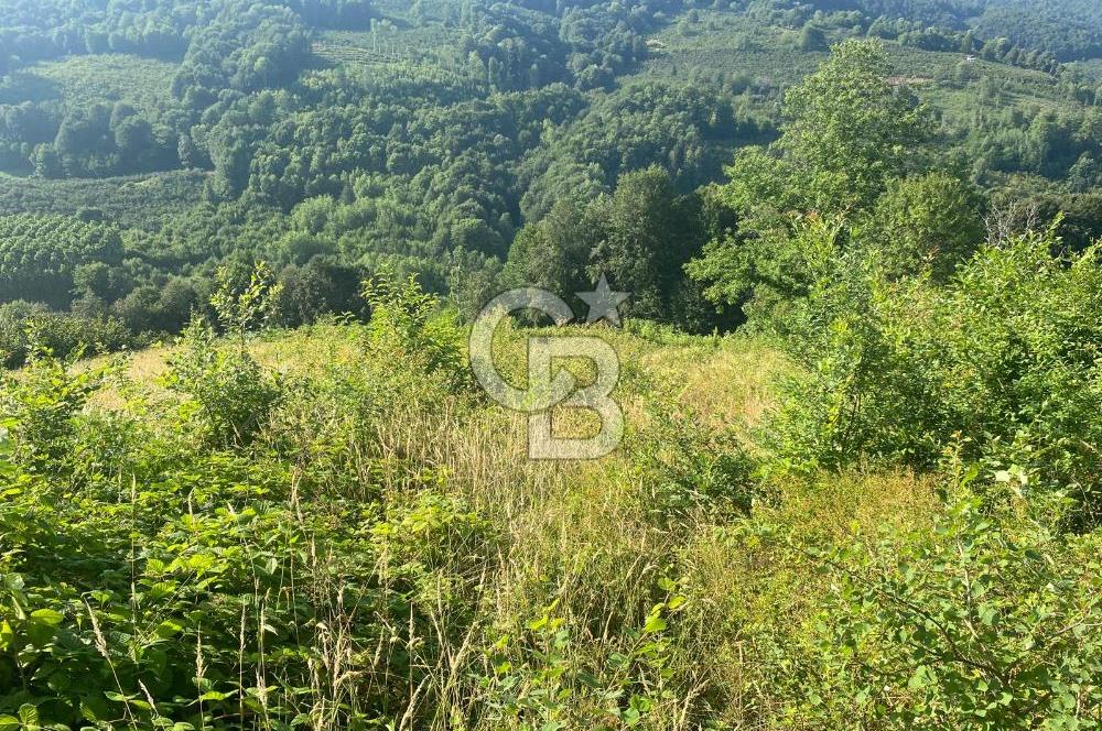 CB EVA dan Hendek Karadere Mah Aksu Yolu Mevkiinde Satılık Arazi