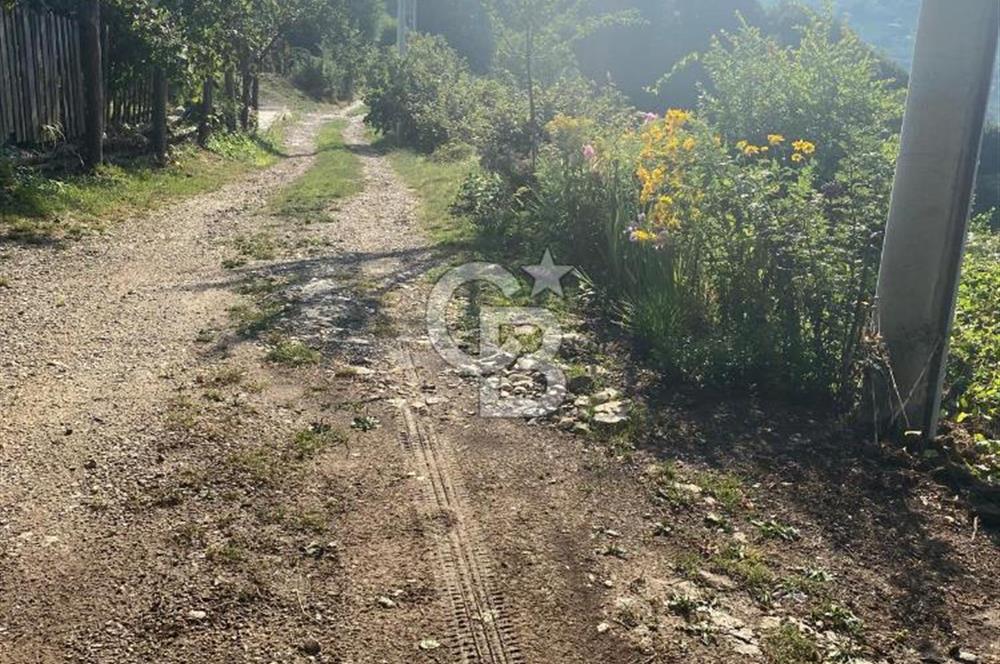 CB EVA dan Hendek Karadere Mah Aksu Yolu Mevkiinde Satılık Arazi