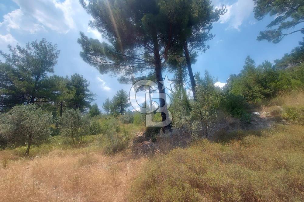 Muğla Menteşe yaraş’ta Satılık Tarla