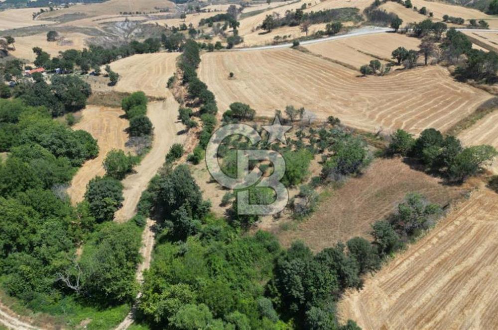 ÇANAKKALE MERKEZ KIZILKEÇİLİ' DE SATILIK TARLA