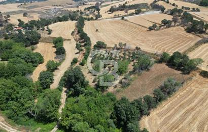 ÇANAKKALE MERKEZ KIZILKEÇİLİ' DE SATILIK TARLA