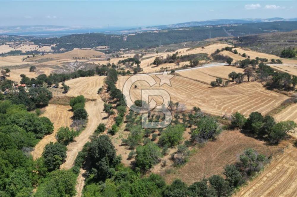 ÇANAKKALE MERKEZ KIZILKEÇİLİ' DE SATILIK TARLA