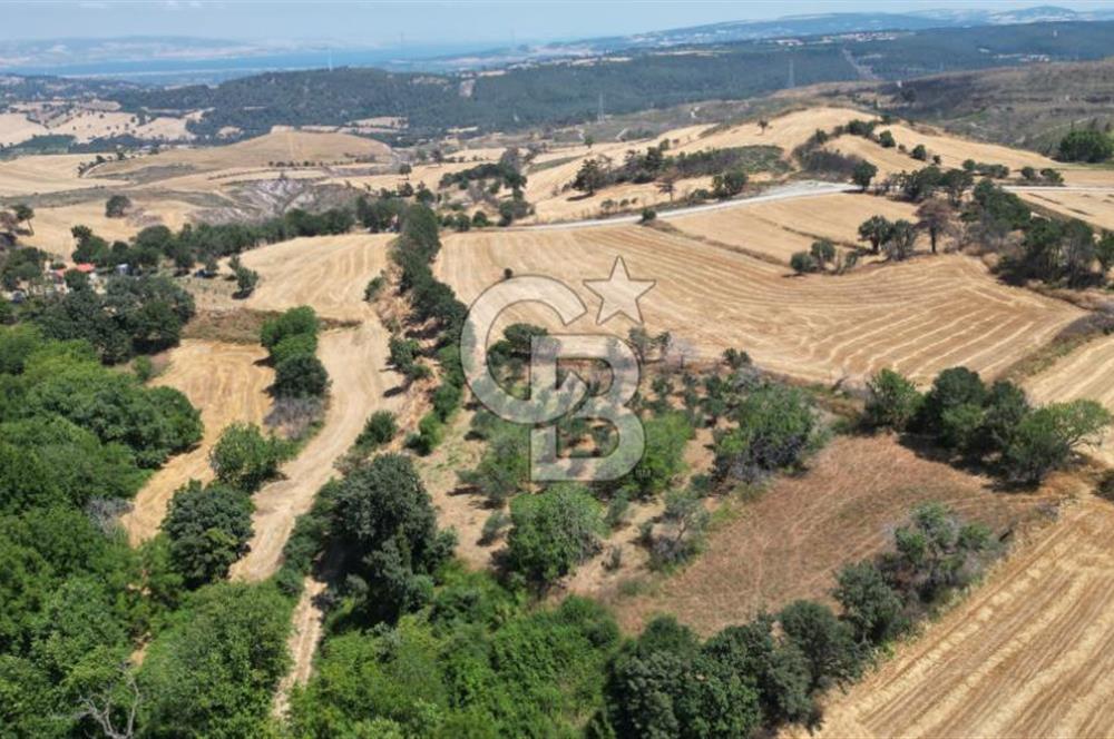 ÇANAKKALE MERKEZ KIZILKEÇİLİ' DE SATILIK TARLA