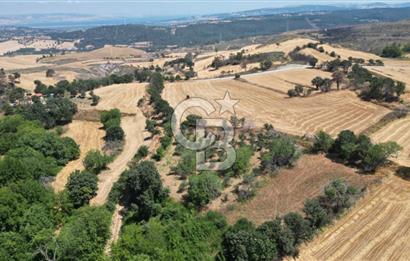 ÇANAKKALE MERKEZ KIZILKEÇİLİ' DE SATILIK TARLA