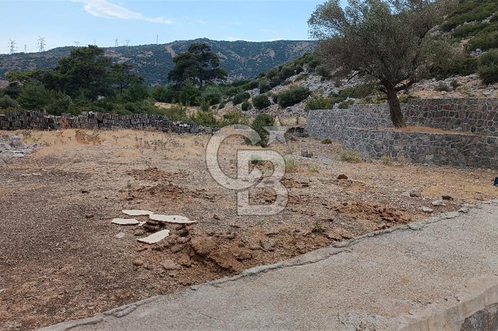 İzmir Bornova Eğridere Mahallesi İmara Yakın Arsa