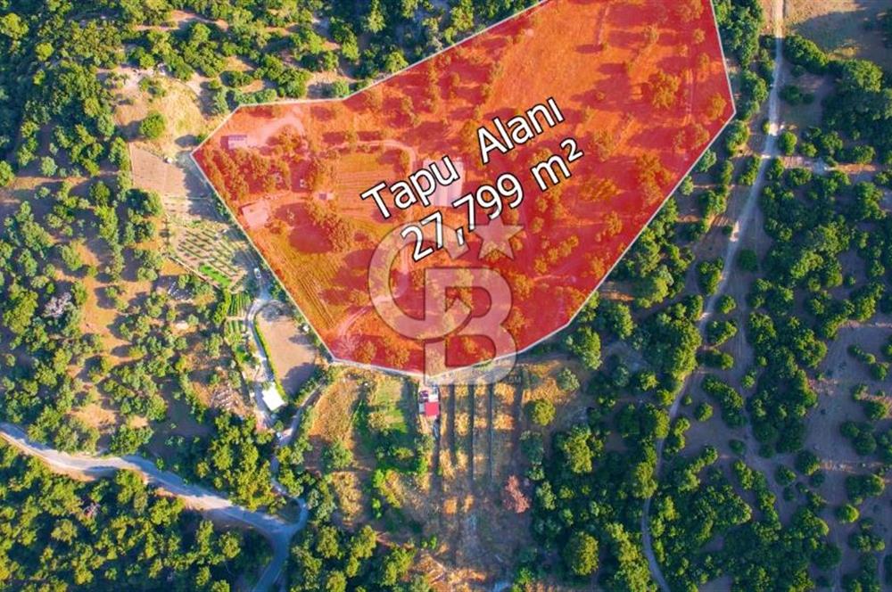 İZMİR YAMANLARDA 27.799M2 ENFES DOĞA VE DENİZ MANZARALI ARAZİ