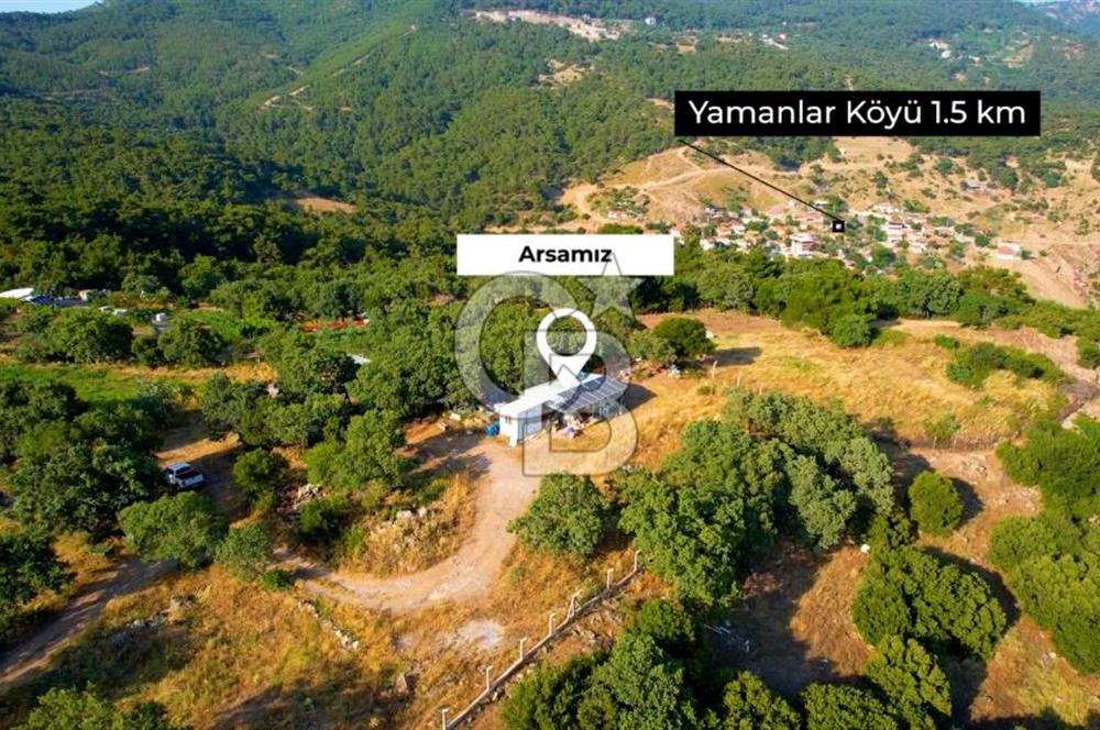 İZMİR YAMANLARDA 27.799M2 ENFES DOĞA VE DENİZ MANZARALI ARAZİ