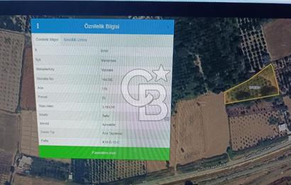 MENEMEN YAHŞELLİ DE YATIRIMLIK 3153m2 BAĞ-BAHÇE