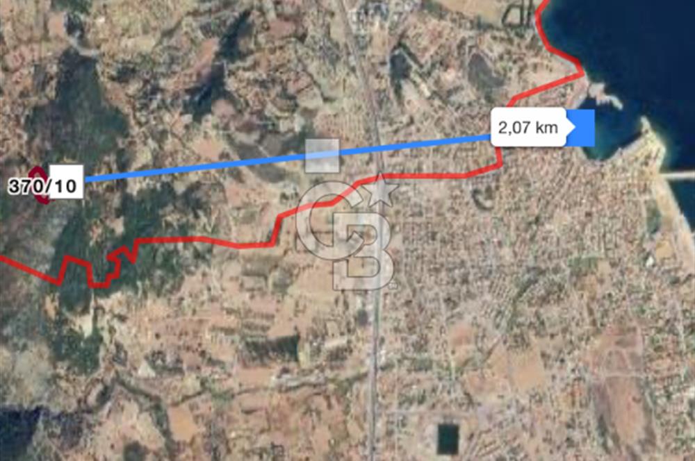 Mordoğan'da Kadastral yola cepheli fırsat zeytinli tarla