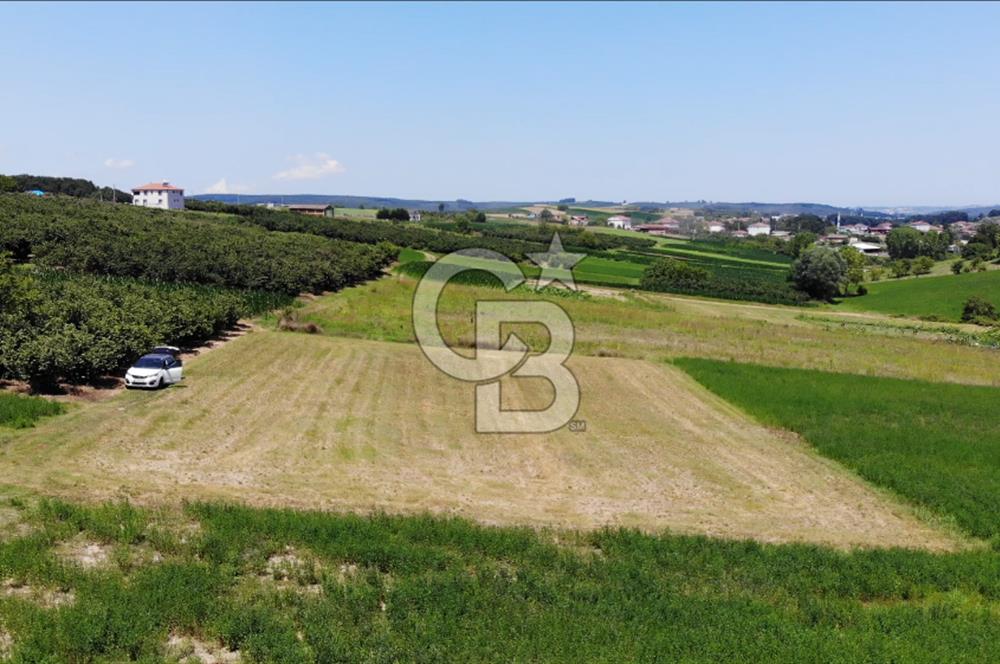 Sakarya Kaynarca Ömerağa Da 2270m2 Satılık Tarla