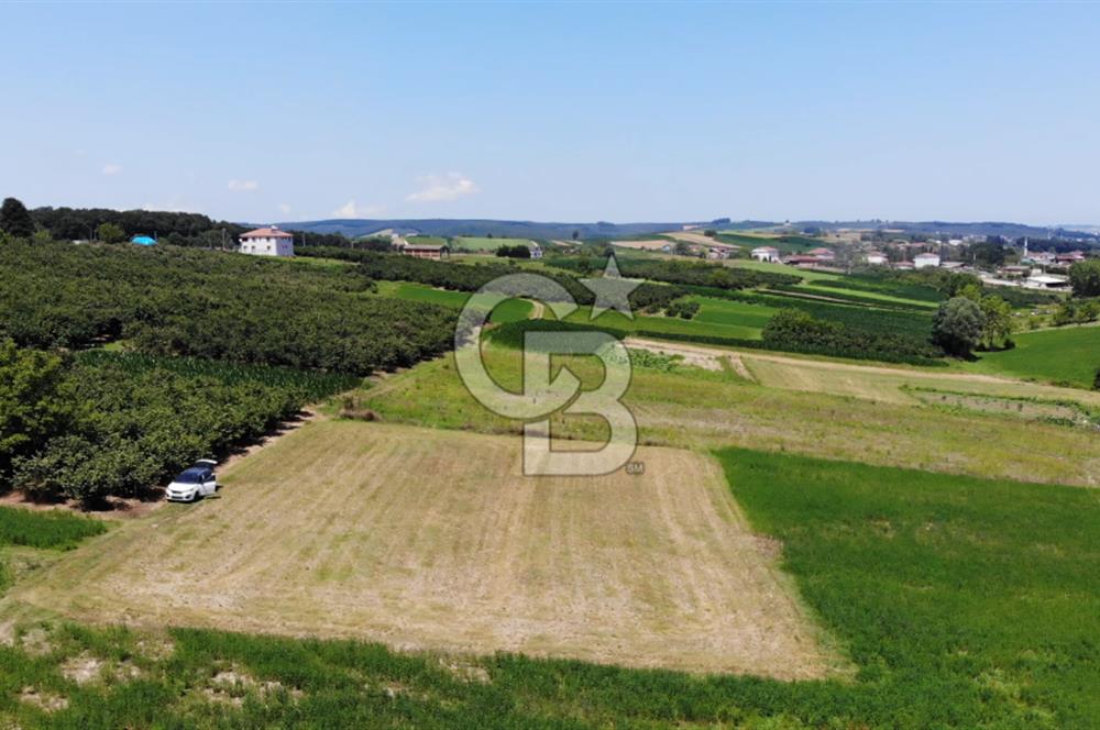 Sakarya Kaynarca Ömerağa Da 2270m2 Satılık Tarla