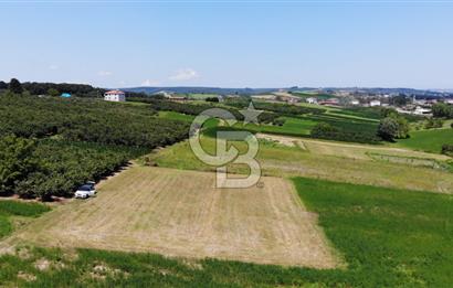 Sakarya Kaynarca Ömerağa Da 2270m2 Satılık Tarla