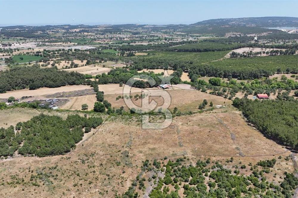 ASSOS SAZLI'DA İMARLI 10.777 M² SATILIK ARSA