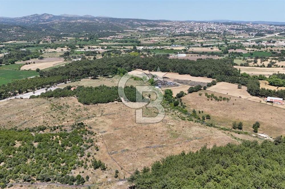 ASSOS SAZLI'DA İMARLI 10.777 M² SATILIK ARSA