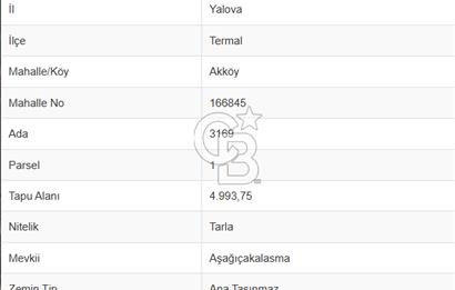 YALOVA TERMAL AKKÖY SATILIK 4.993 M2 TARLA + 615 M2 ARSA!.