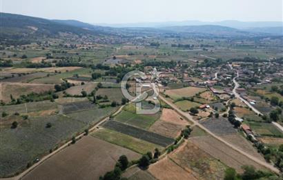 Çanakkale Yenice Kurtlar Köyünde 2358 M² Satılık Tarla !