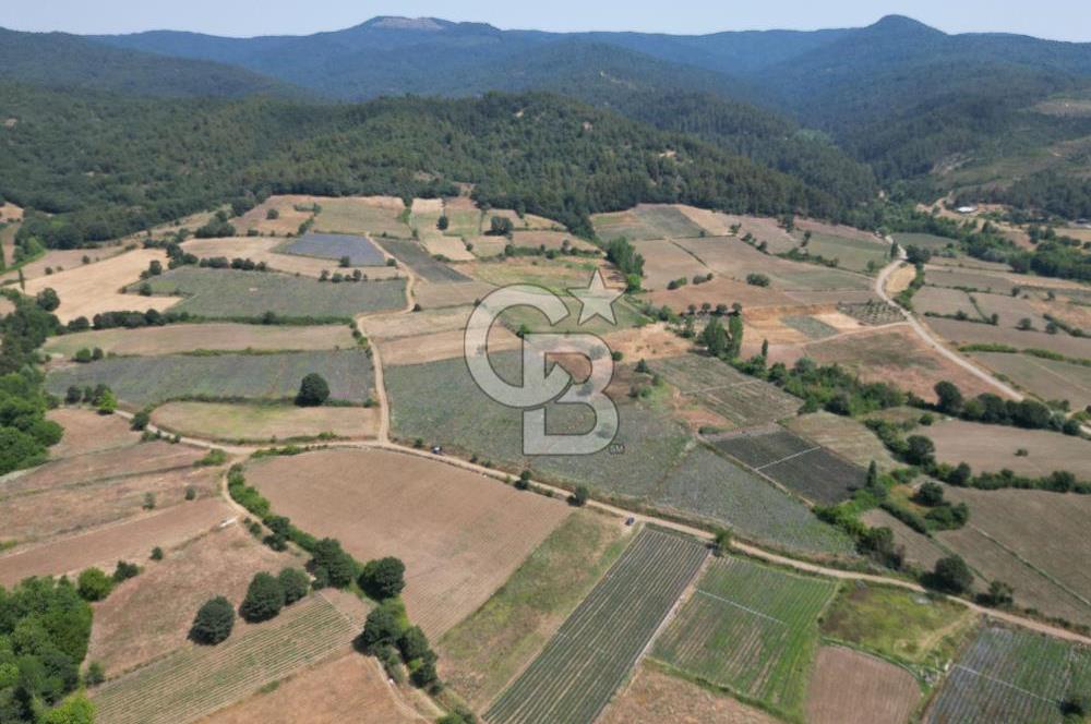 Çanakkale Yenice Kurtlar Köyünde 2358 M² Satılık Tarla !