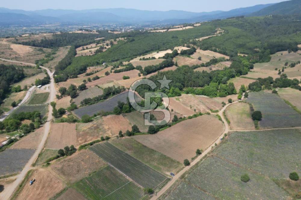 Çanakkale Yenice Kurtlar Köyünde 2358 M² Satılık Tarla !