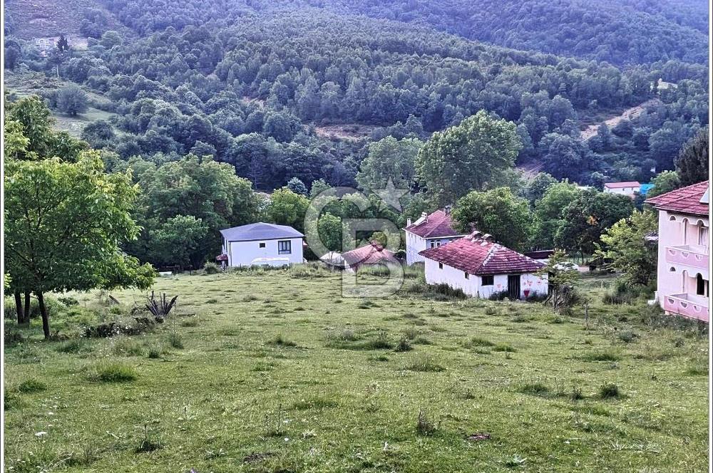 Yalova Çiftlikköy Burhaniye'de Satılık Köy İçi İmarlı Arazi