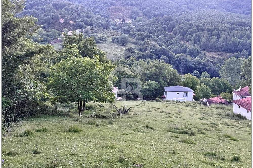 Yalova Çiftlikköy Burhaniye'de Satılık Köy İçi İmarlı Arazi