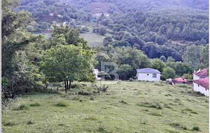 Yalova Çiftlikköy Burhaniye'de Satılık Köy İçi İmarlı Arazi