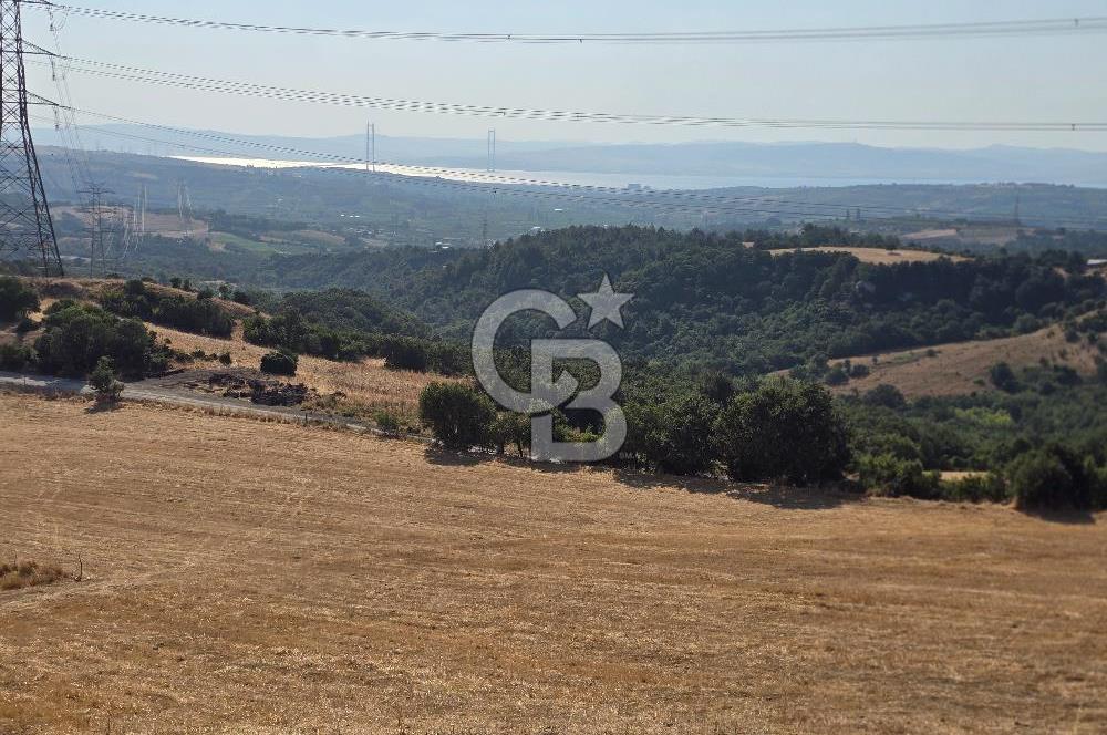 ÇANAKKALE / LAPSEKİ/ YENİCEKÖY’DE SATILIK TARLA