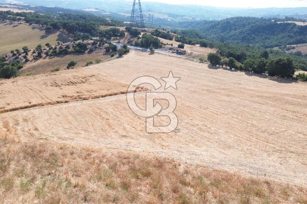 ÇANAKKALE / LAPSEKİ/ YENİCEKÖY’DE SATILIK TARLA