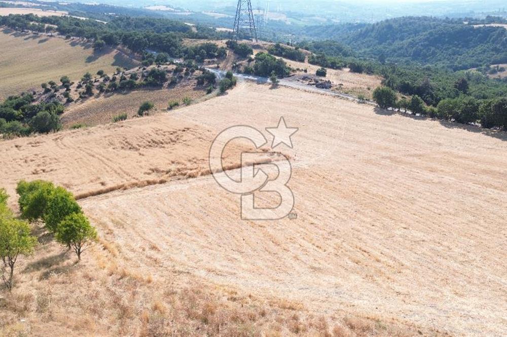 ÇANAKKALE / LAPSEKİ/ YENİCEKÖY’DE SATILIK TARLA