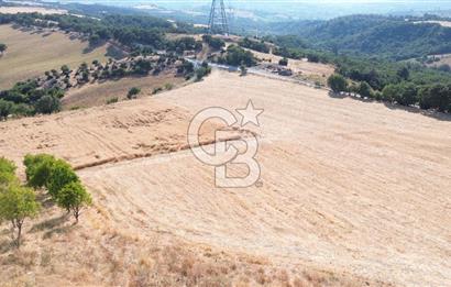 ÇANAKKALE / LAPSEKİ/ YENİCEKÖY’DE SATILIK TARLA