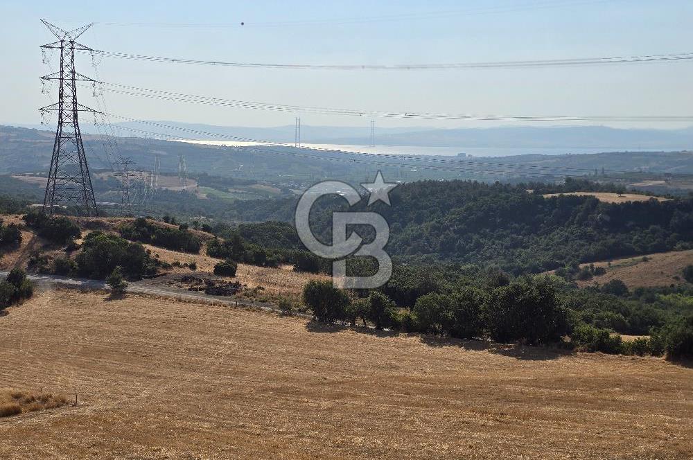 ÇANAKKALE / LAPSEKİ/ YENİCEKÖY’DE SATILIK TARLA