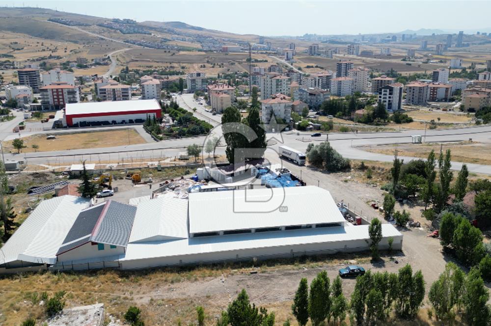 YENİMAHALLE YAKACIK'TA 6824m² TEK TAPU KÖŞE PARSEL SATILIK ARSA