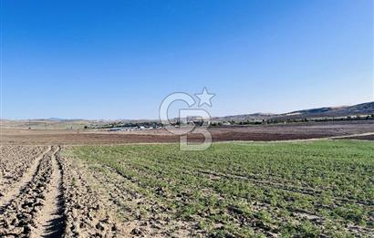 KONYA'DAN ANKARA GELİŞ YÖNÜNDE BEZİRHANE MAH. YOLA YAKIN HER İŞE UYGUN EKİLİ TARLA