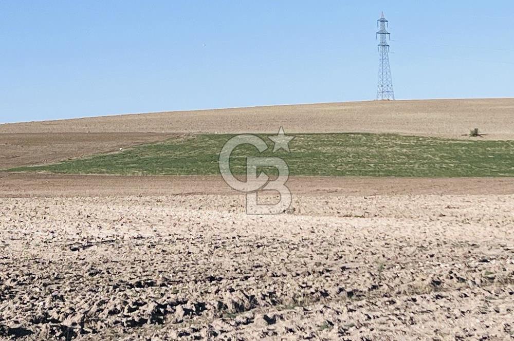 KONYA'DAN ANKARA GELİŞ YÖNÜNDE BEZİRHANE MAH. YOLA YAKIN HER İŞE UYGUN EKİLİ TARLA