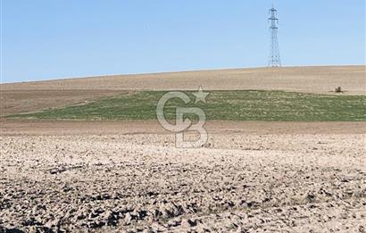 KONYA'DAN ANKARA GELİŞ YÖNÜNDE BEZİRHANE MAH. YOLA YAKIN HER İŞE UYGUN EKİLİ TARLA