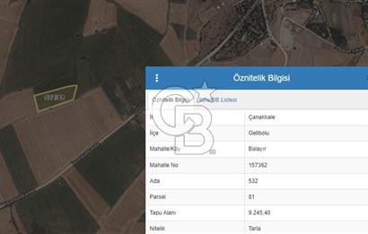 ÇANAKKALE GELİBOLU BOLAYIR 9 DÖNÜM DENİZ GÖREN SATILIK TARLA