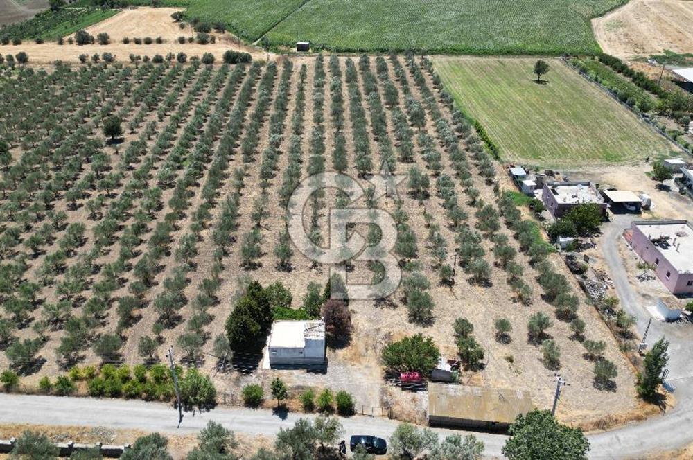 FOÇA ILIPINAR’DA MUHTEŞEM KONUMDA TARLA