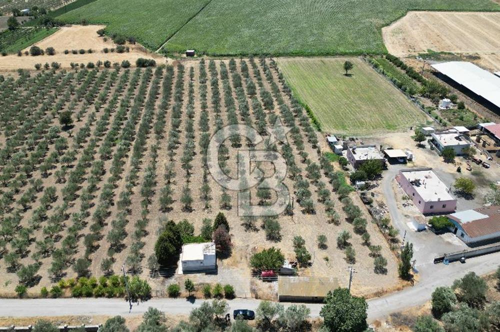 FOÇA ILIPINAR’DA MUHTEŞEM KONUMDA TARLA