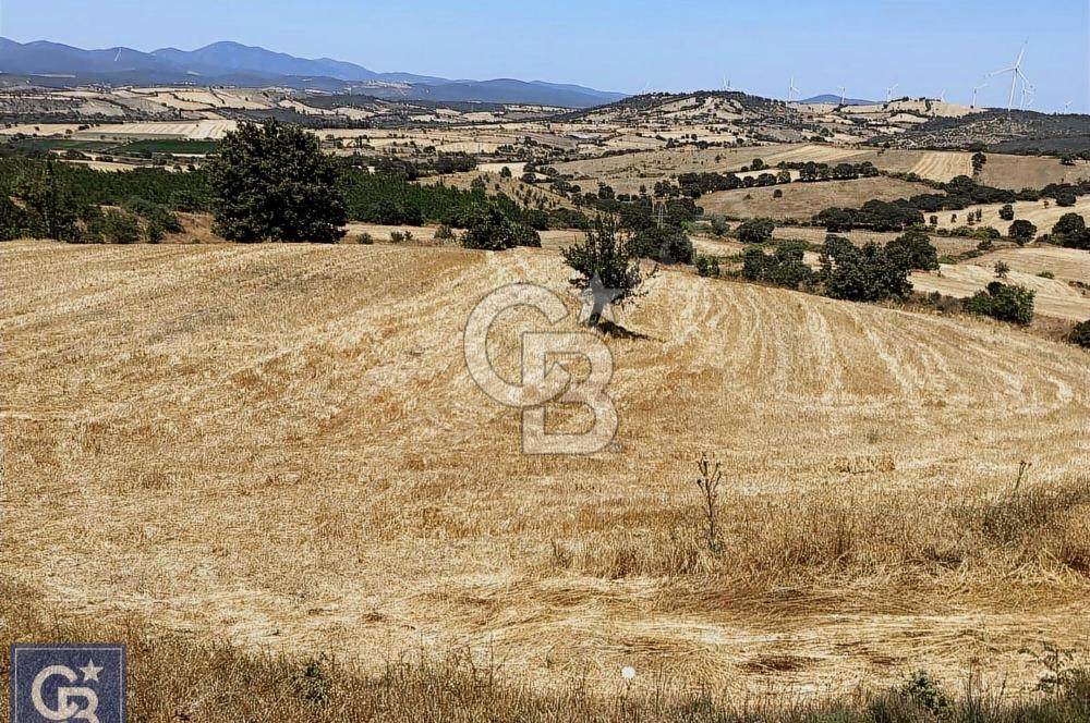 BAYRAMİÇ YENICEKÖY ACİL SATILIK TARLA