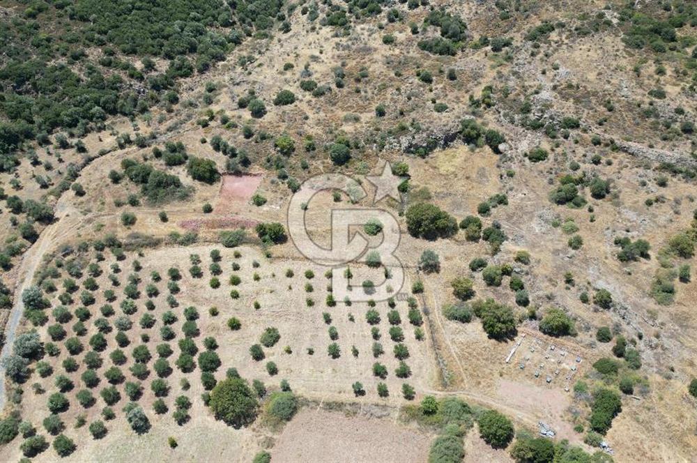 FOÇA YENİBAĞARASI’NDA HOBİ AMAÇLI TARLA