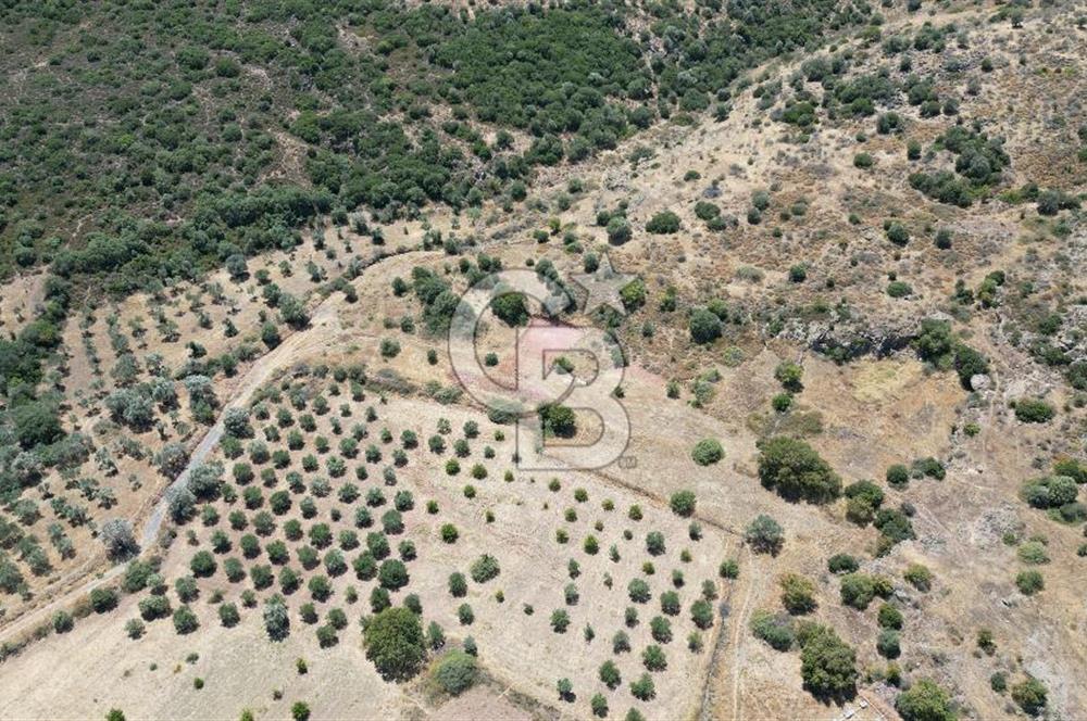 FOÇA YENİBAĞARASI’NDA HOBİ AMAÇLI TARLA